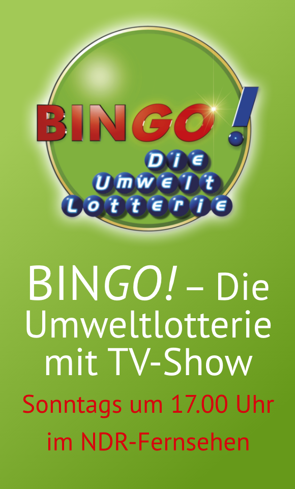 Bingo-Vorschau