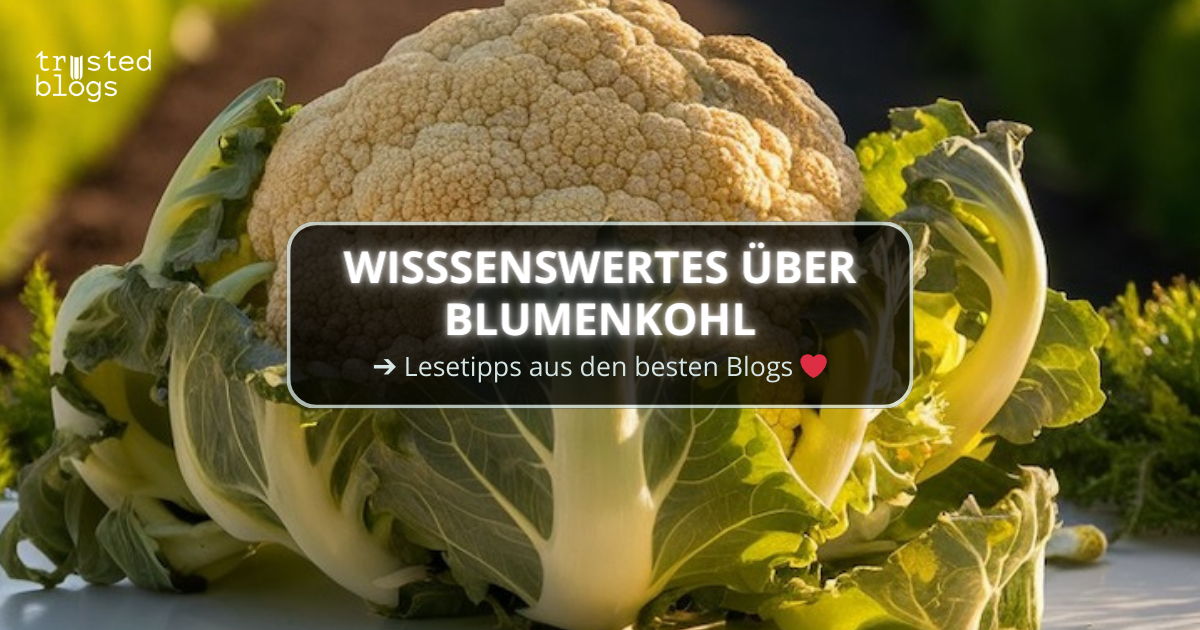 Wissenswertes über Blumenkohl